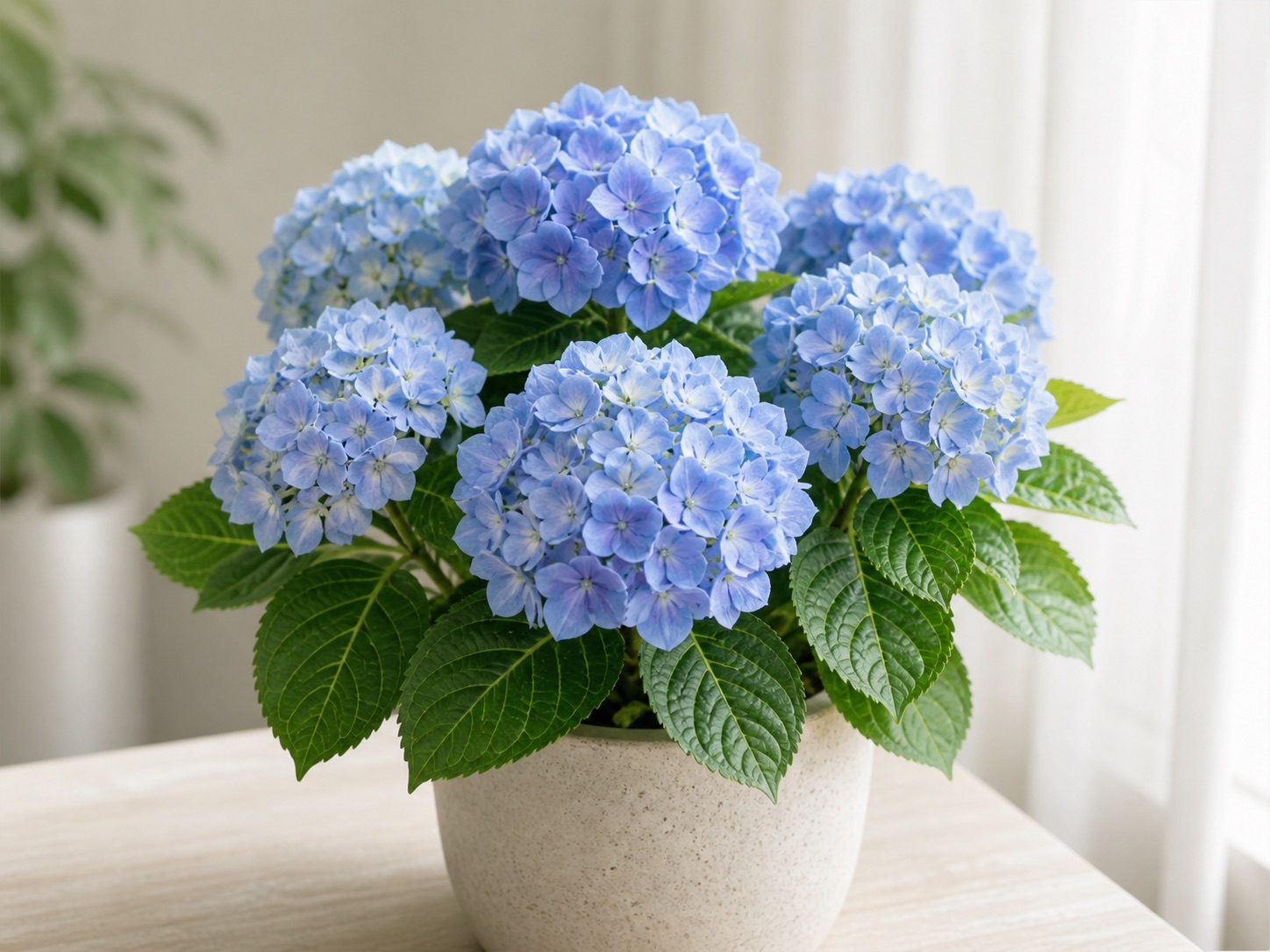 Seasonal flower care drive